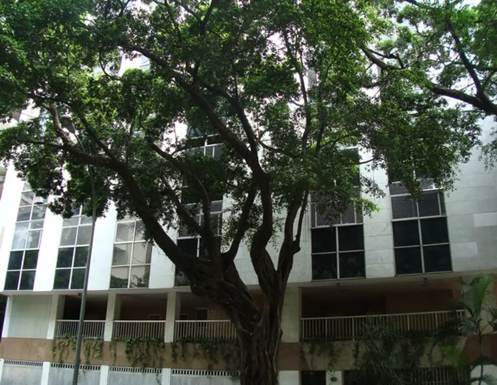 Edifício Neuza Antaki