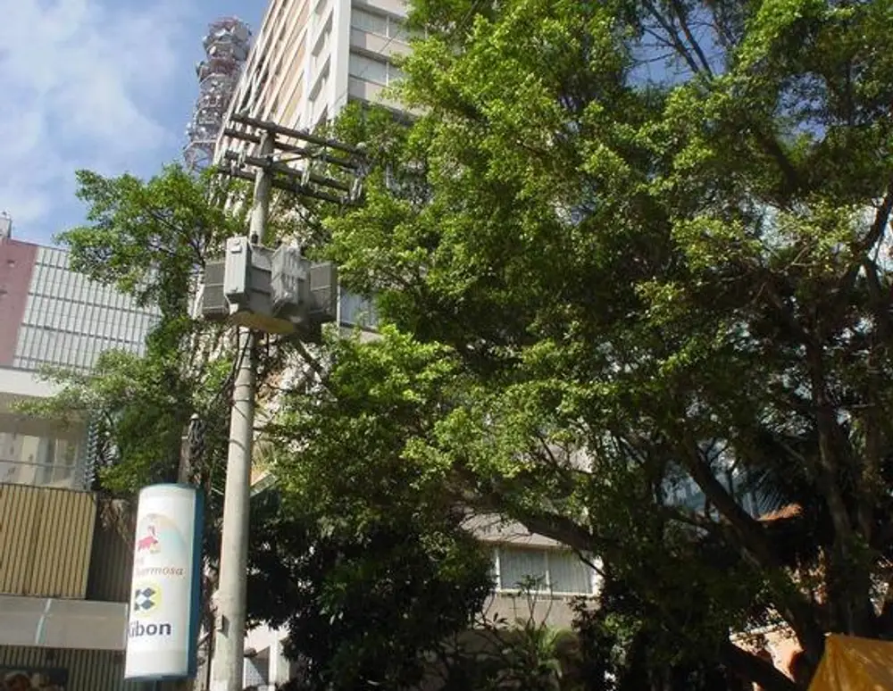 Edificio Miataua