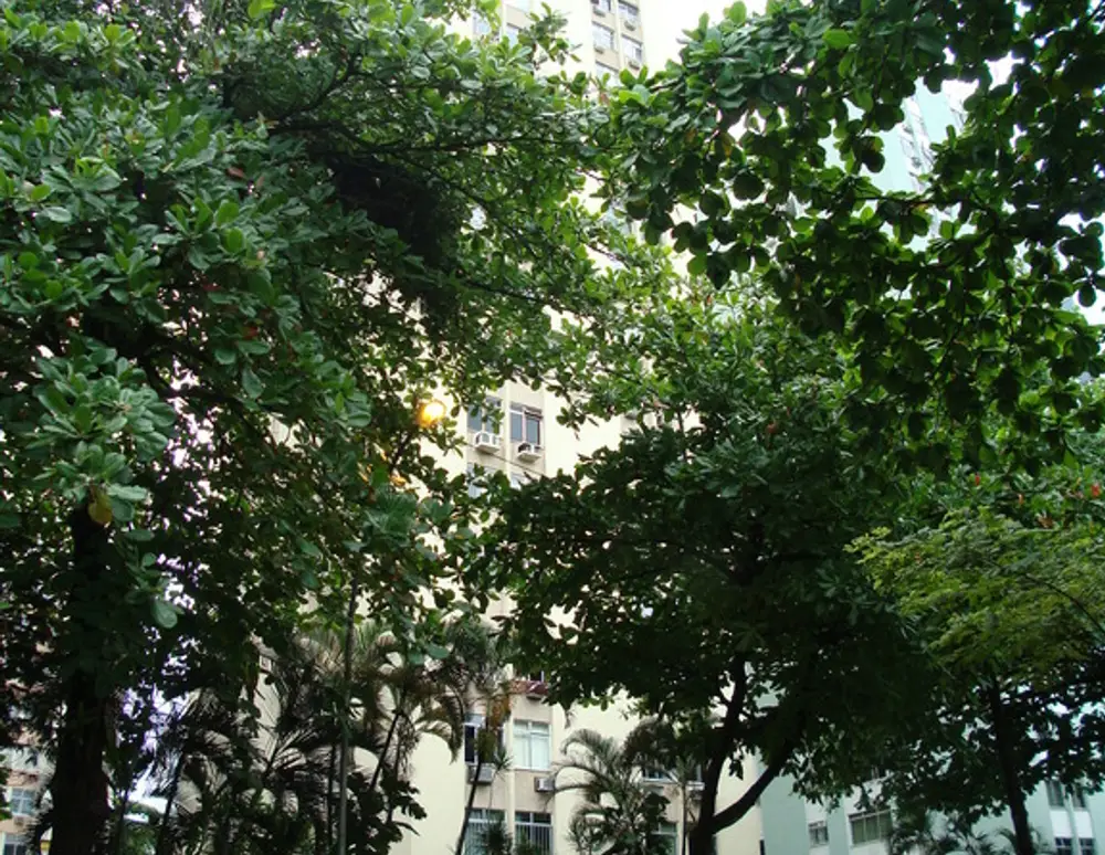 Edificio Solar da Lagoa