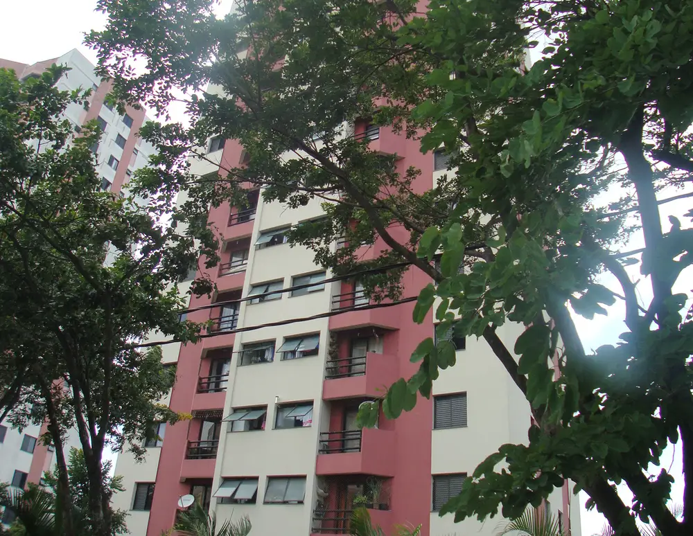 Edificio Jacaranda
