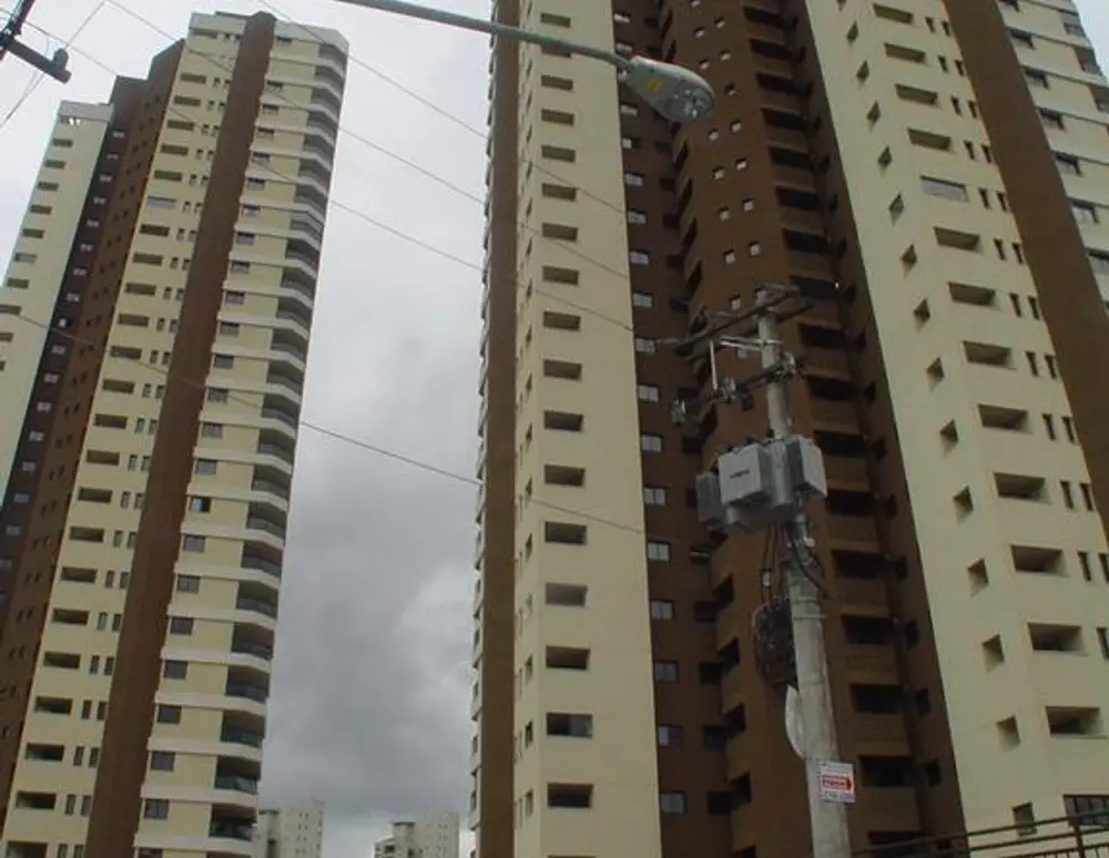 Voo do Tangara