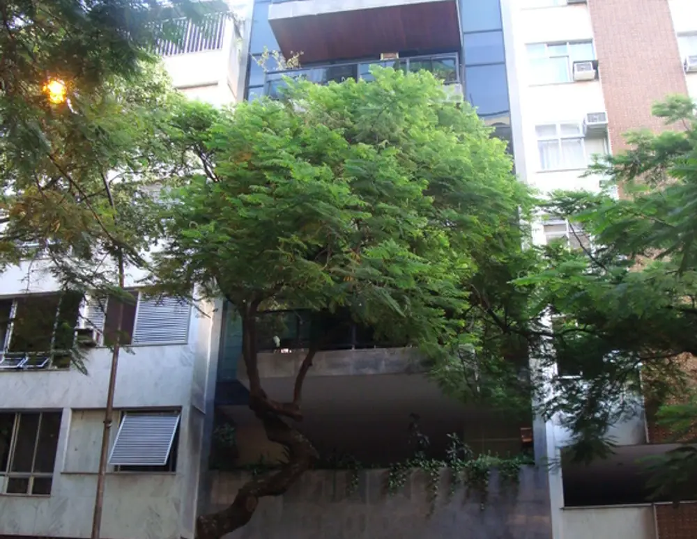 Edificio J. Chulan