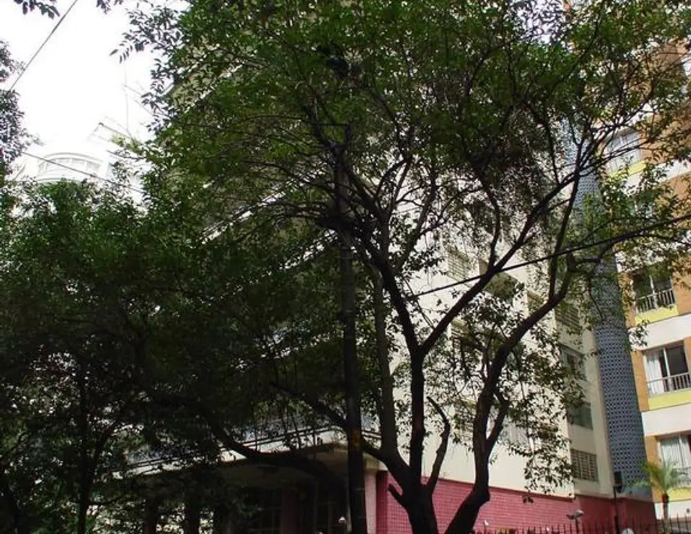 Edificio Cinderela