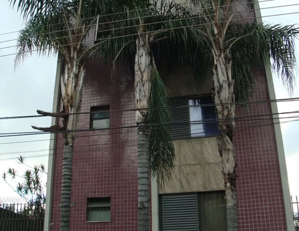 Edificio Eurico de Oliveira