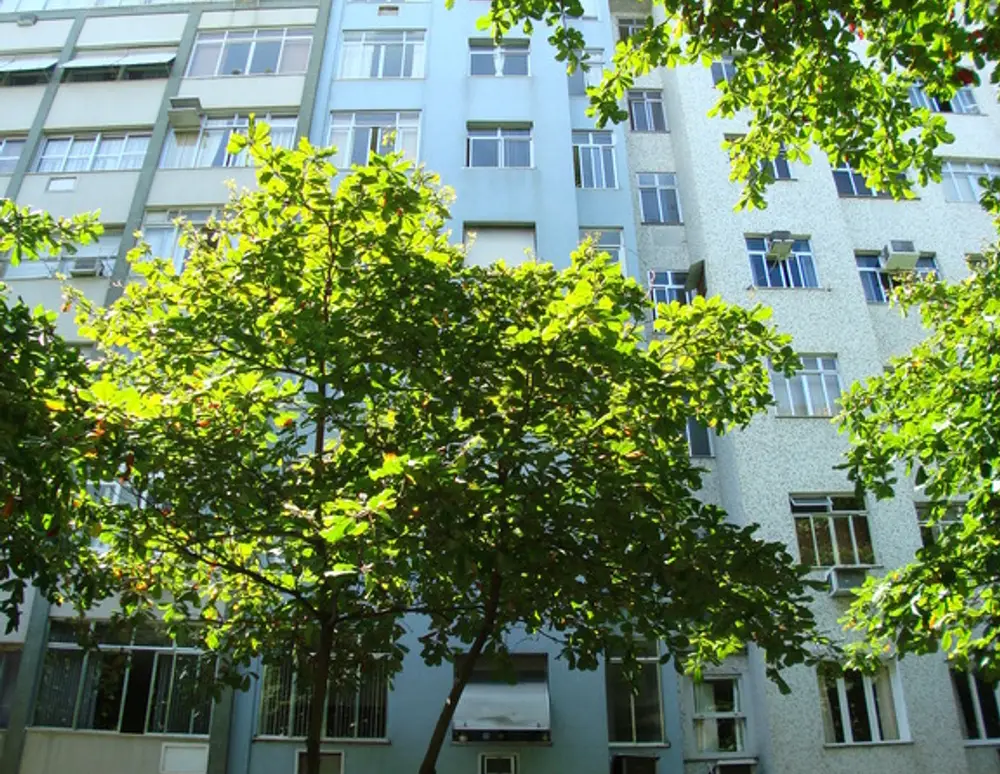 Edificio Nisa