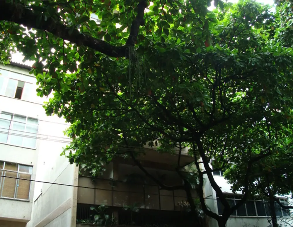 Edificio Patricia