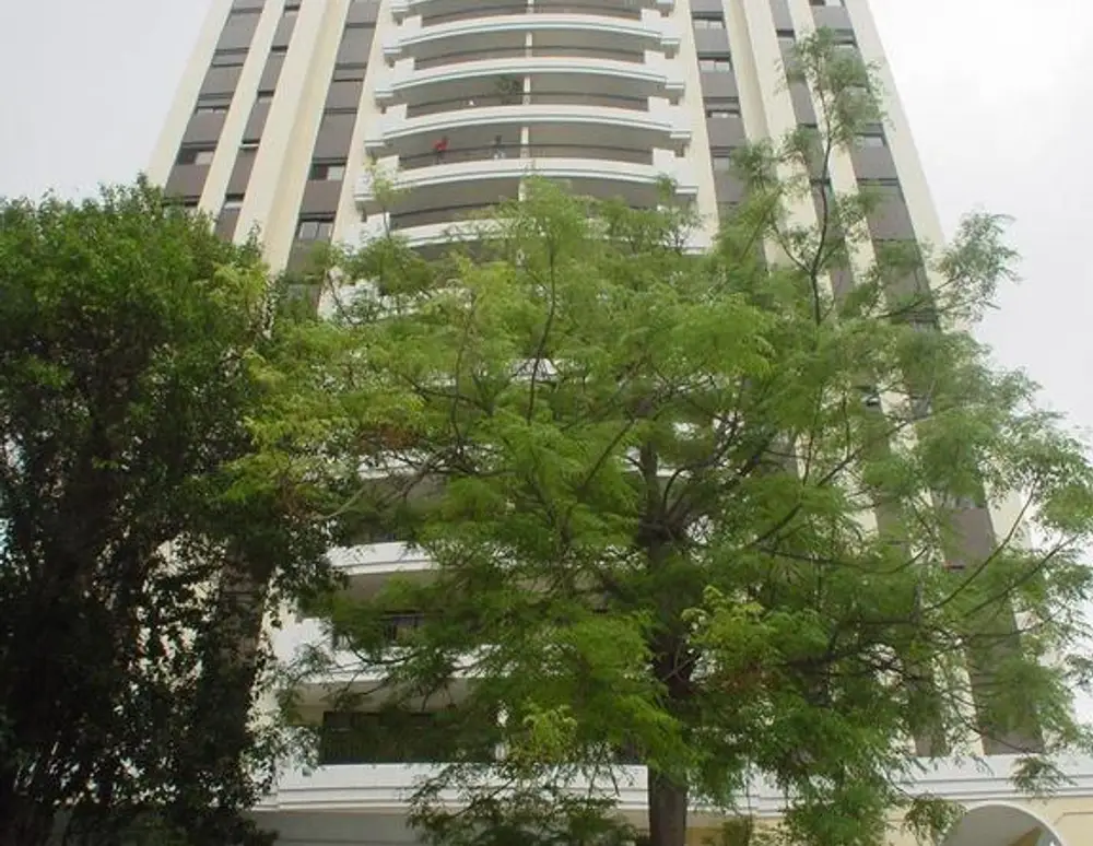 Edificio Maison George V — foto 2
