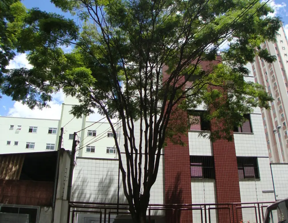Edificio Recidencial Matheus Felipe