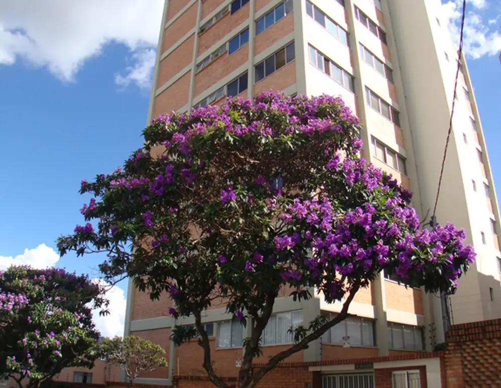Edificio Brilhante