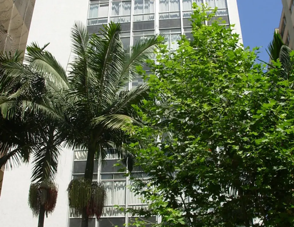 Edificio Santo Estevan — foto 2