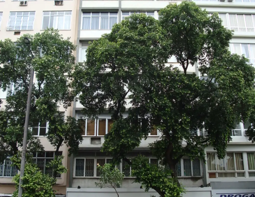 Edifício Gray