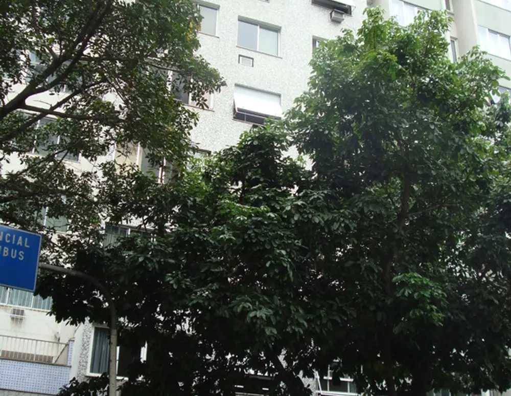 Edificio Misk