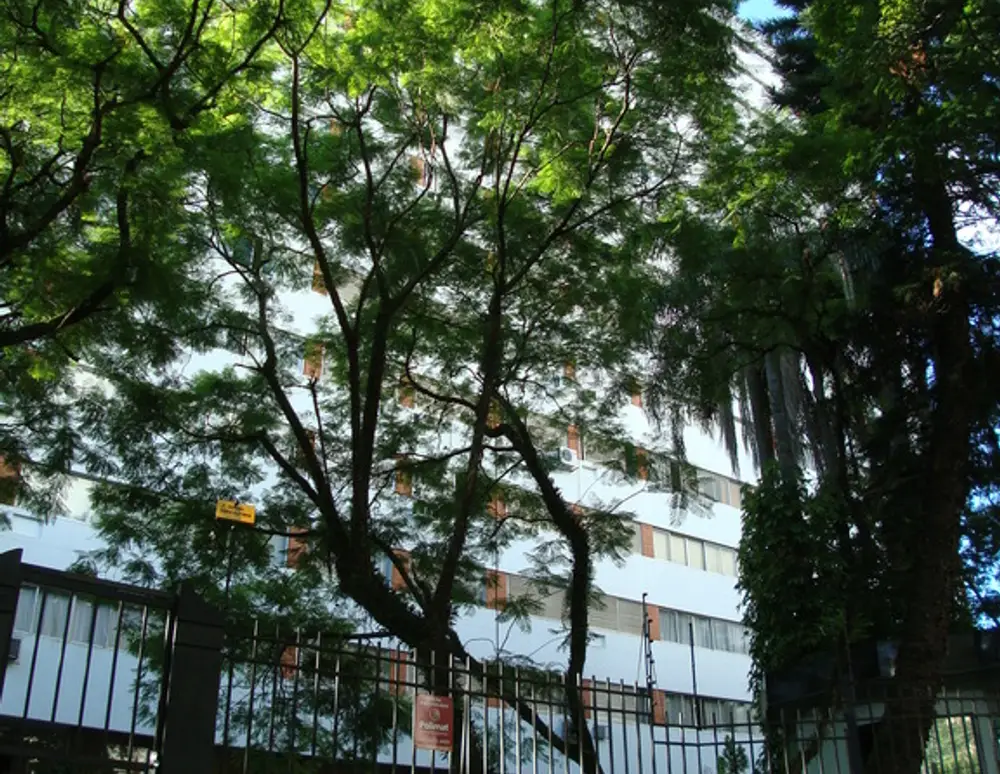 Edificio Rovena