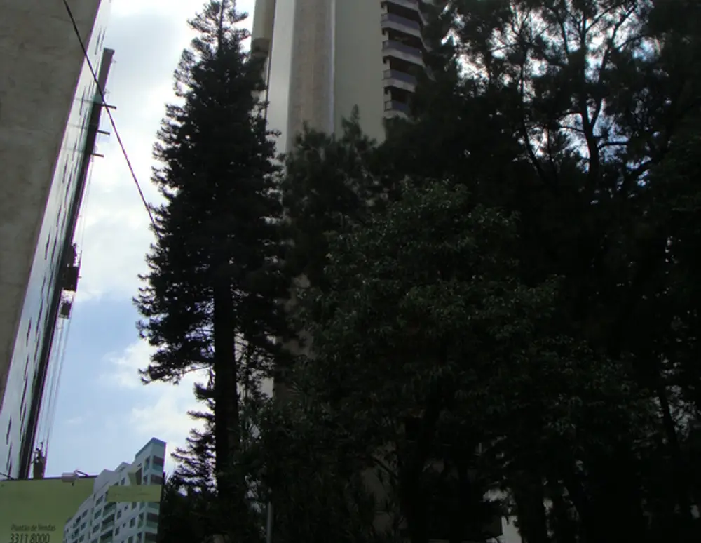 Edifício La Camargue