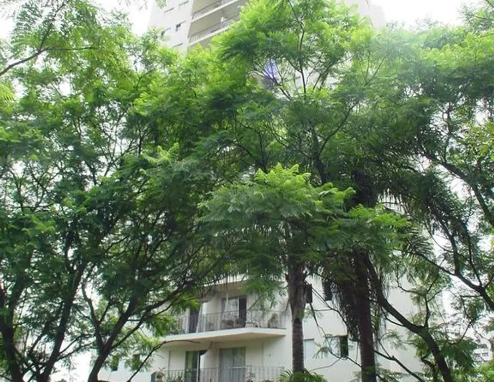 Edificio Ilha de Corsega — foto 4