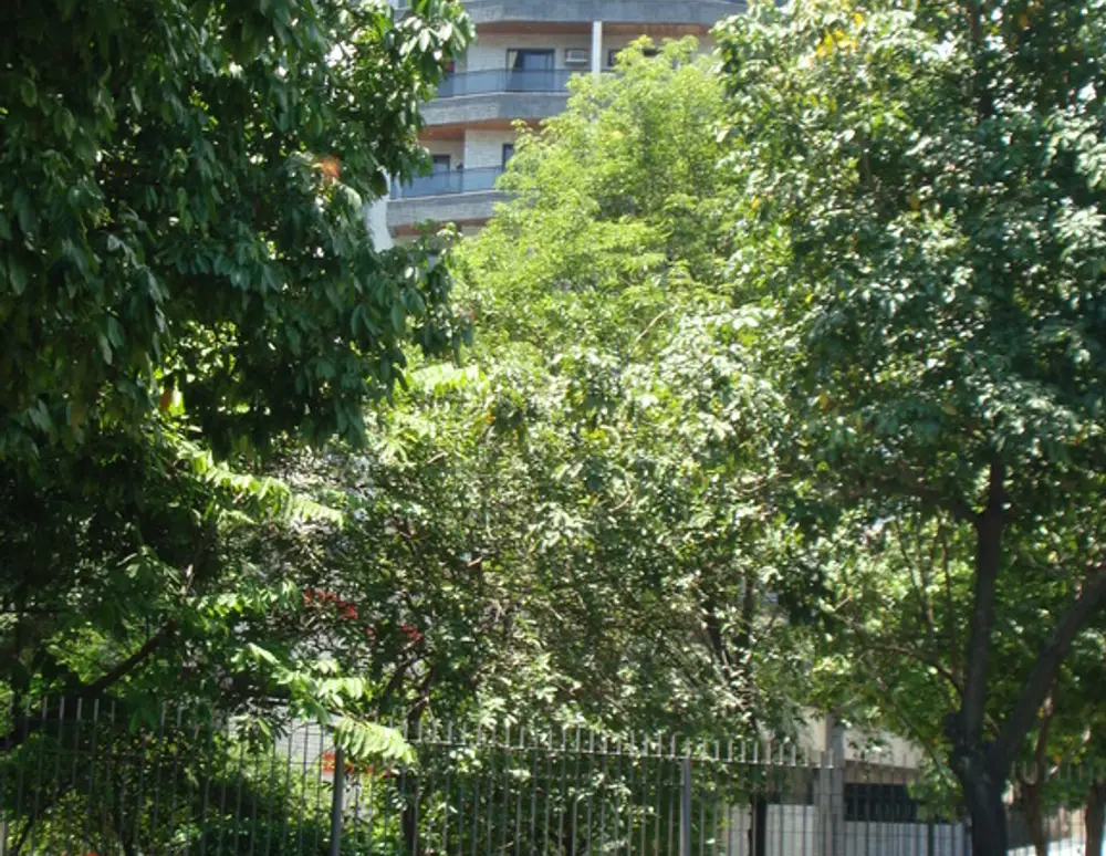 Edificio Eliane