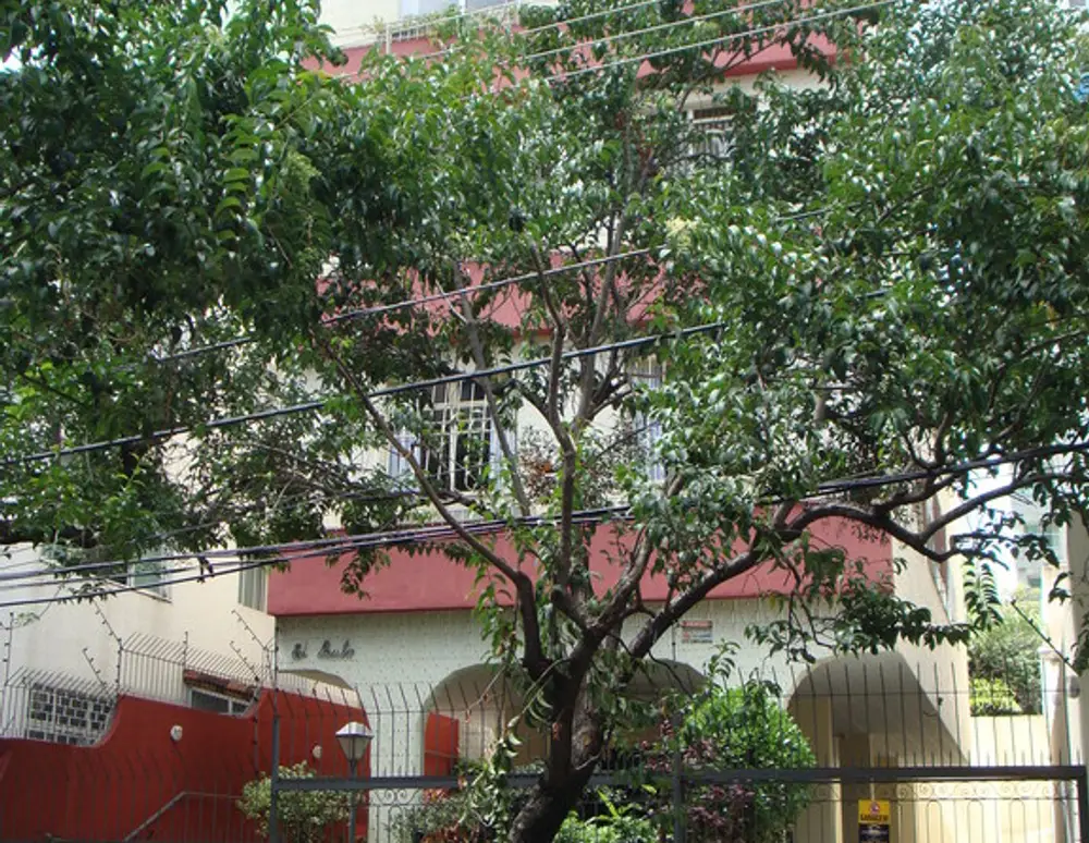 Edificio Paulo