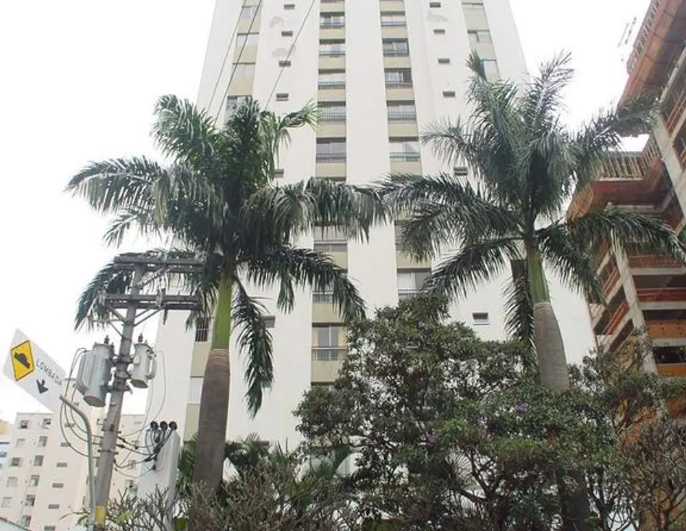 Edificio Palmeira Imperial