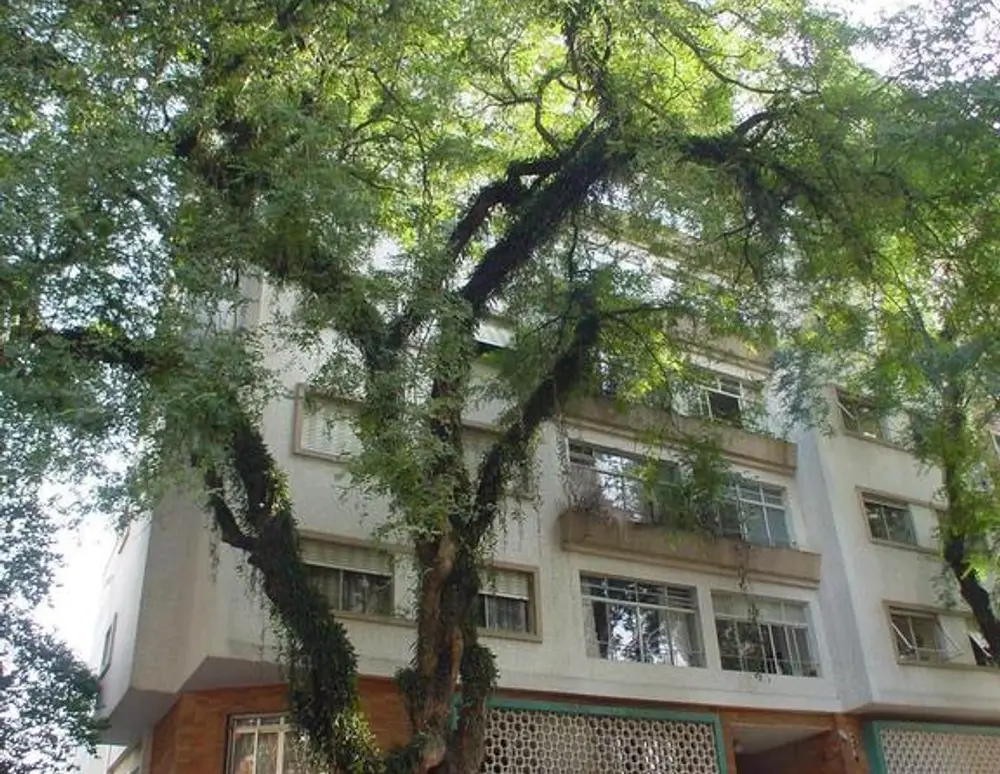 Edifício Haddock Lobo — foto 2