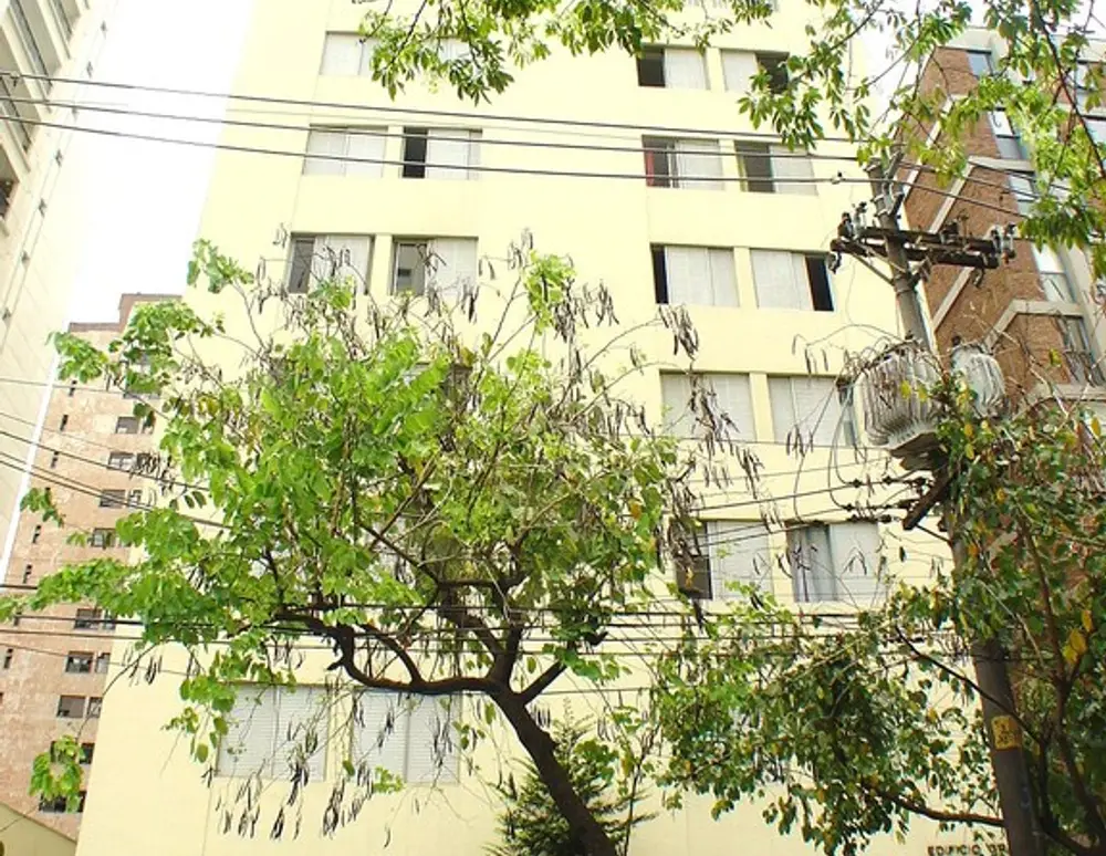 Edificio Grauna — foto 2
