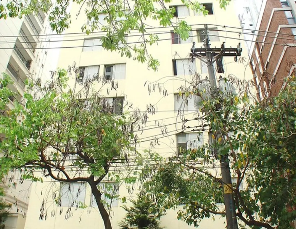 Edificio Grauna — foto 3