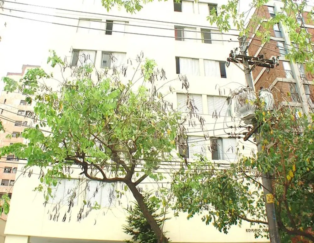 Edificio Grauna — foto 6