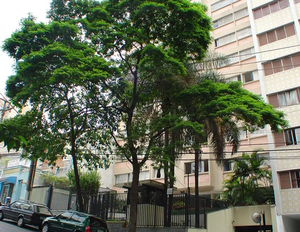 Edificio Itai — foto 2