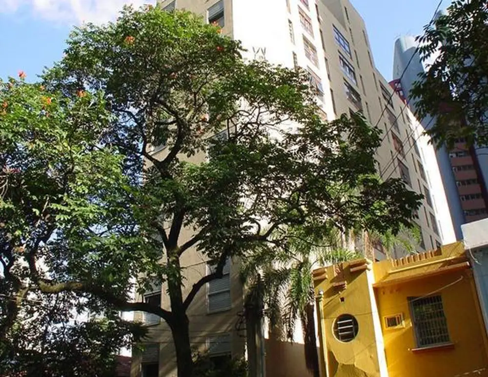 Edificio Jose Pedro — foto 2
