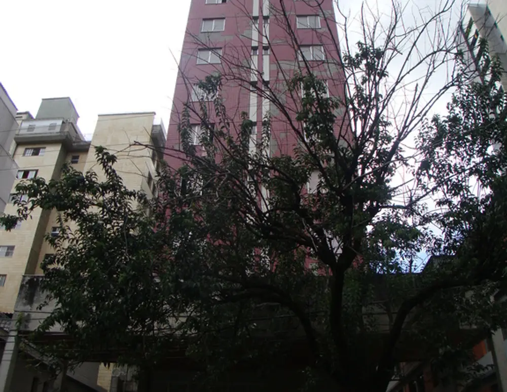 Edificio Goncalves Dias
