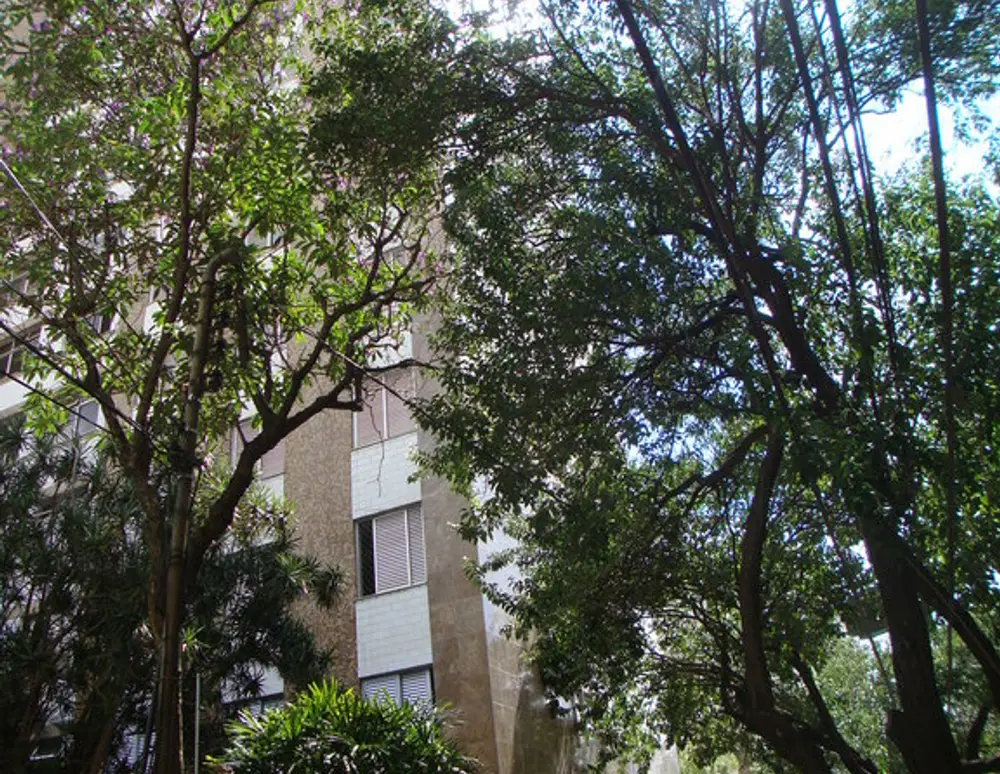 Edificio Formato Iii
