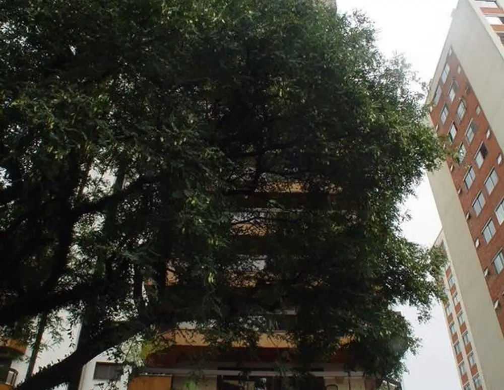 Edificio Diamond Tower — foto 2