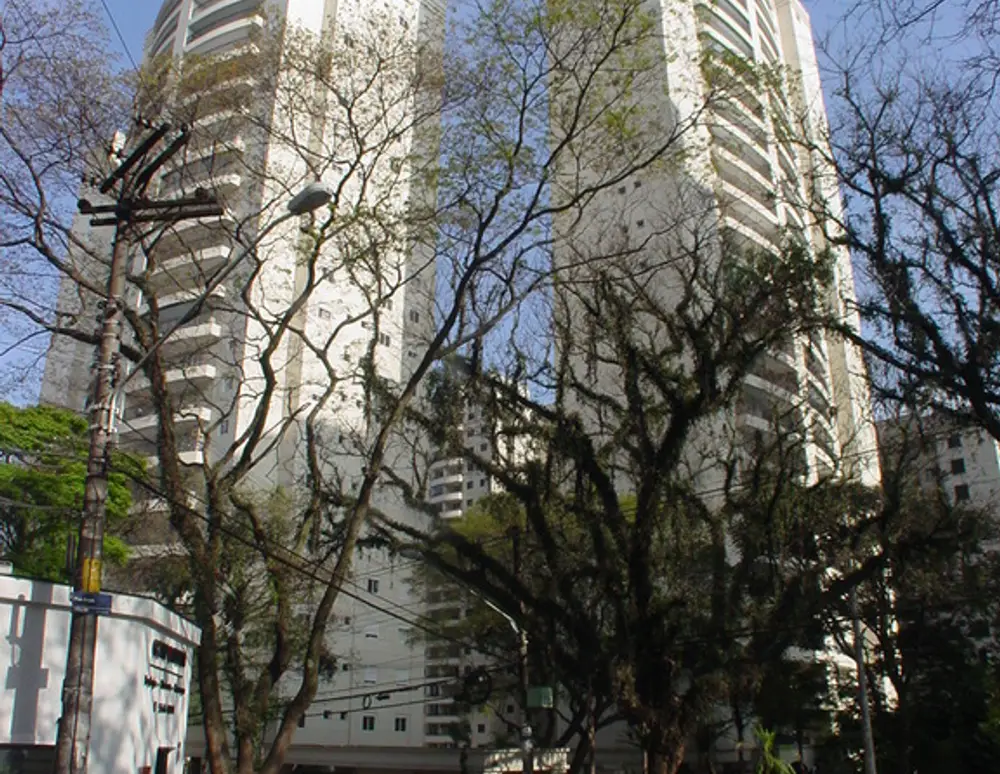 Patio Figueira — foto 2