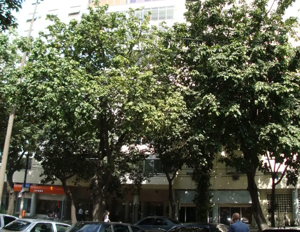 Edificio Gloria Lagoa