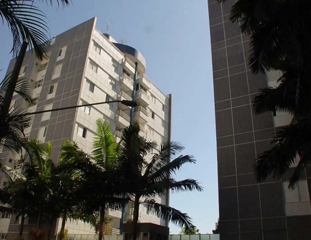 Palmas de Mariana I
