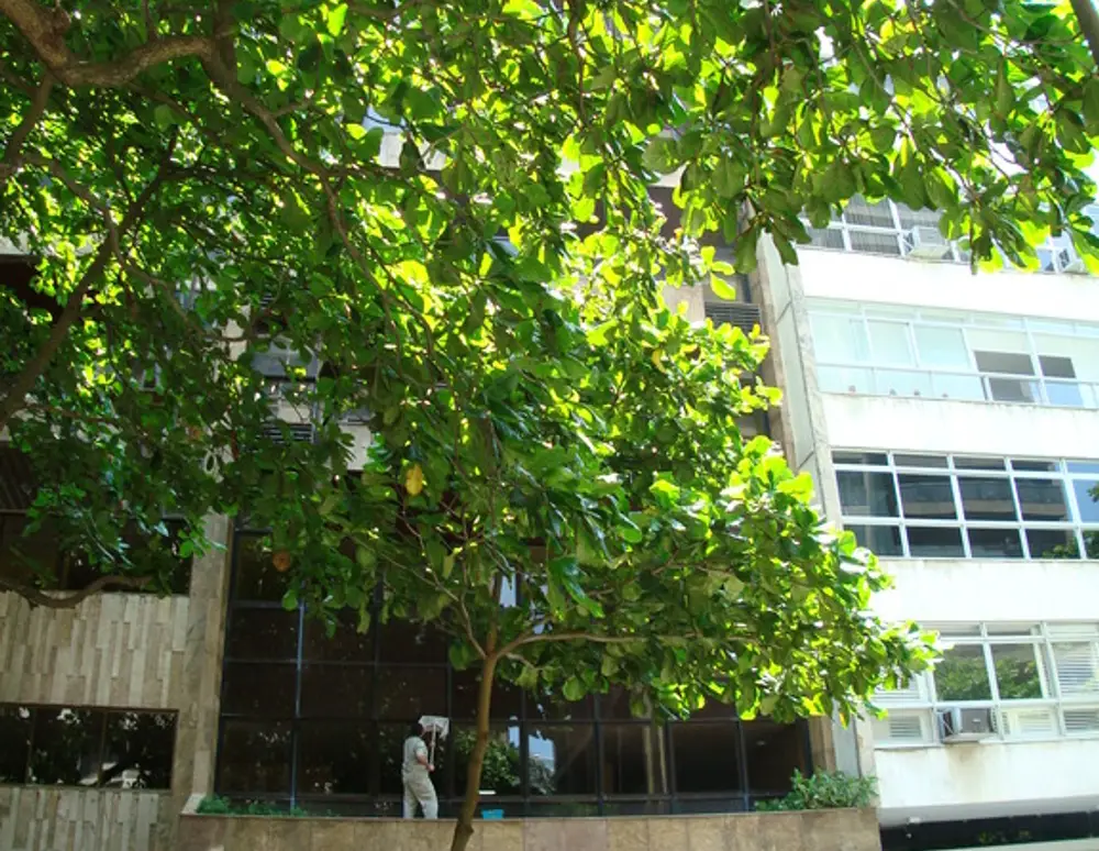Edificio Mediterranee