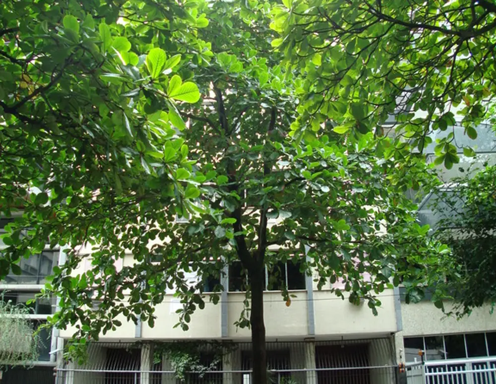 Edificio El Paso