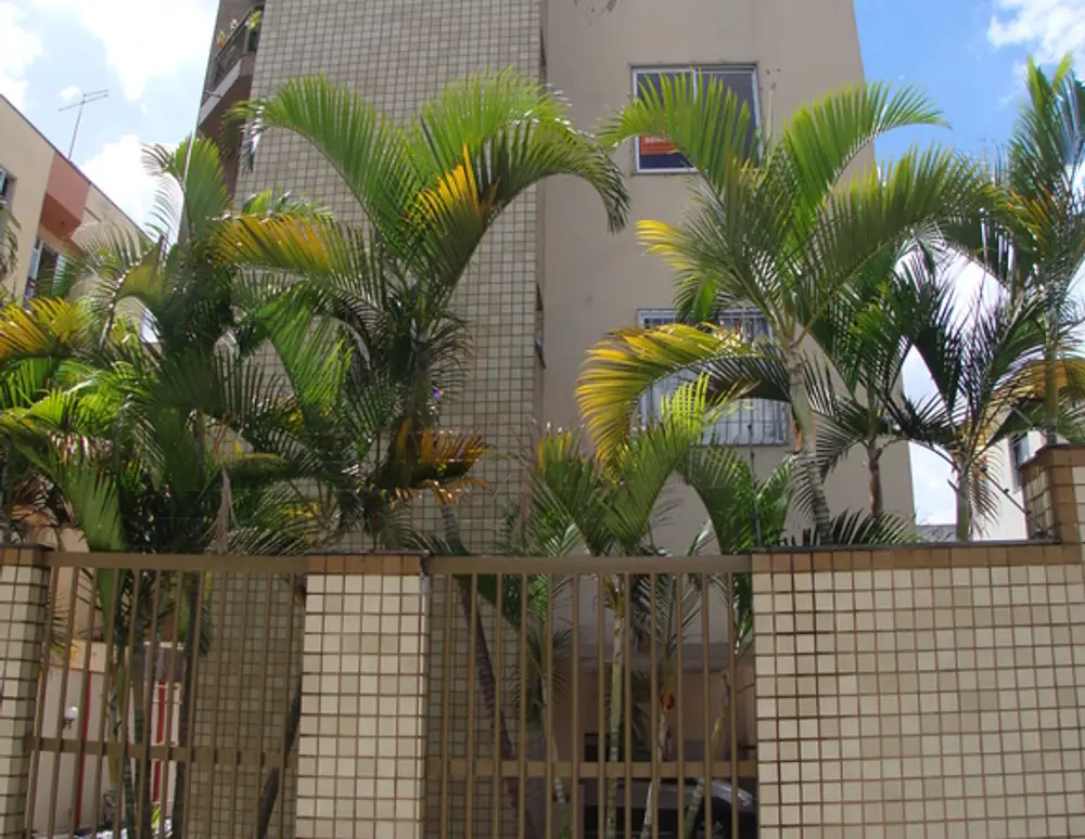 Edificio Olegario Tiburcio