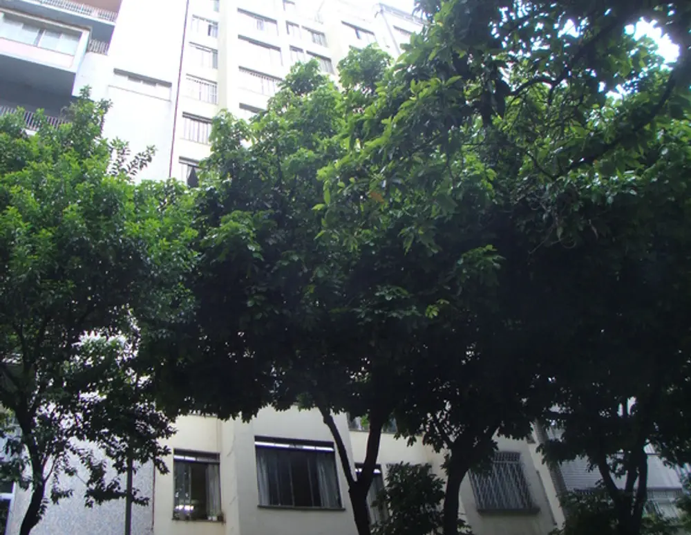 Edificio Riachuelo