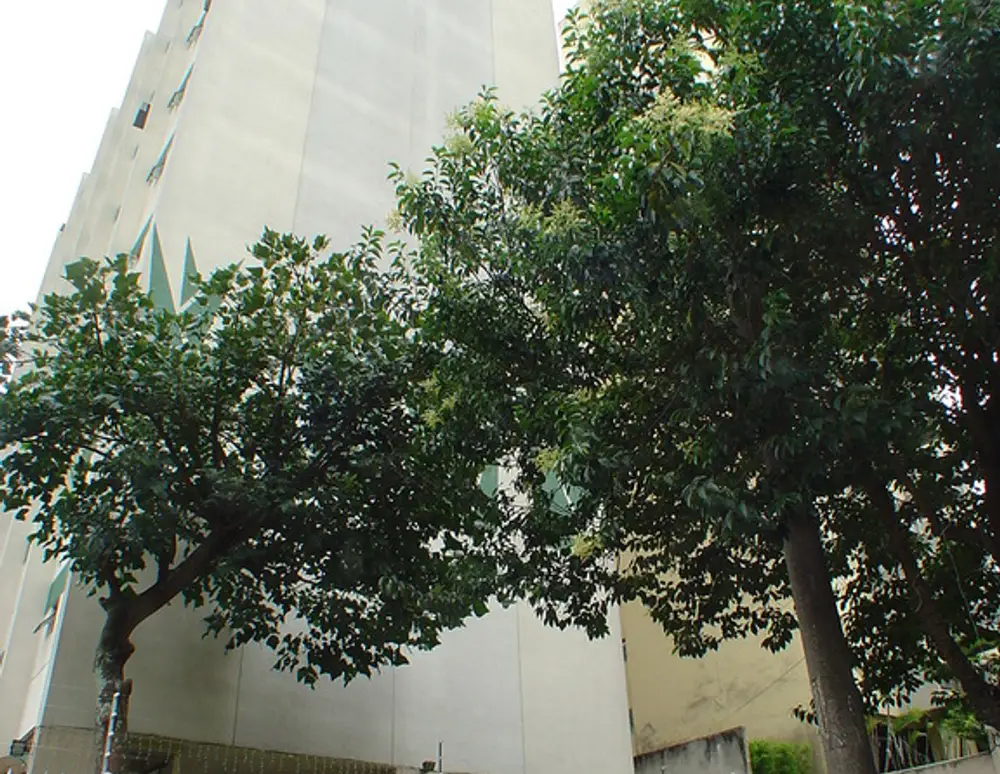 Edificio Don Joao — foto 2