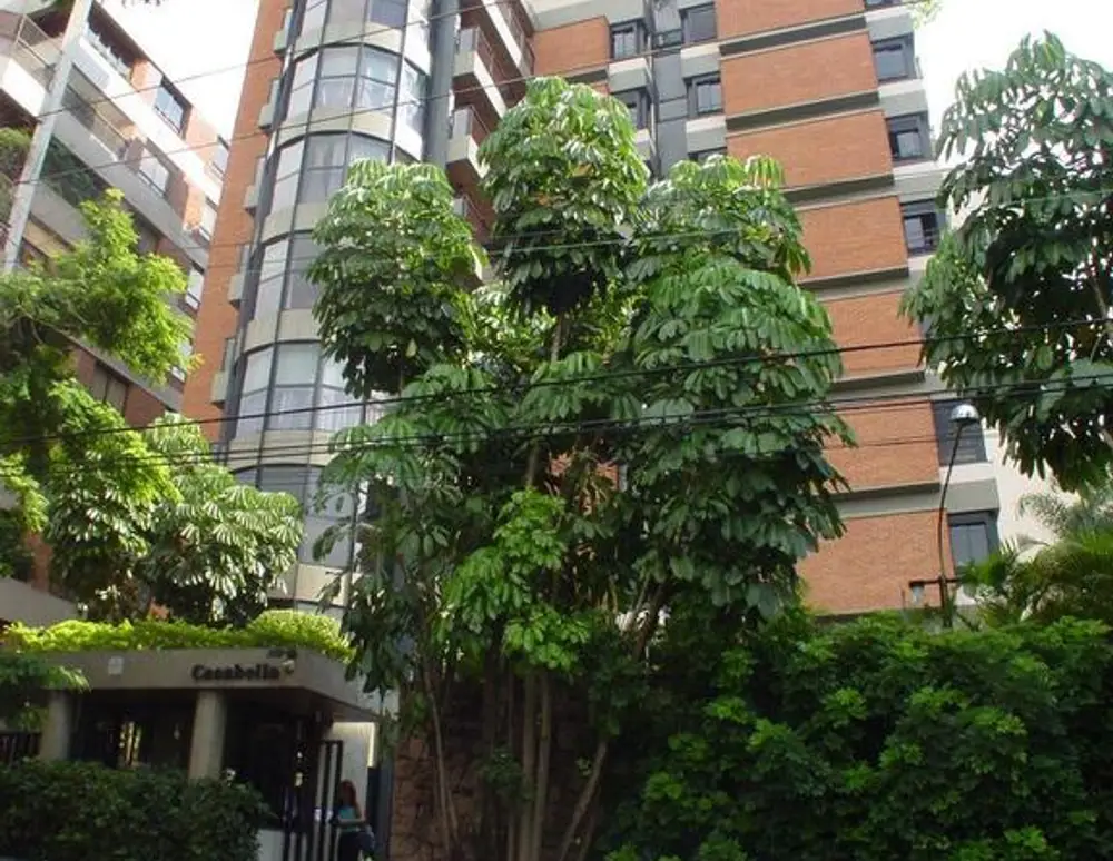 Edificio Casabella — foto 2