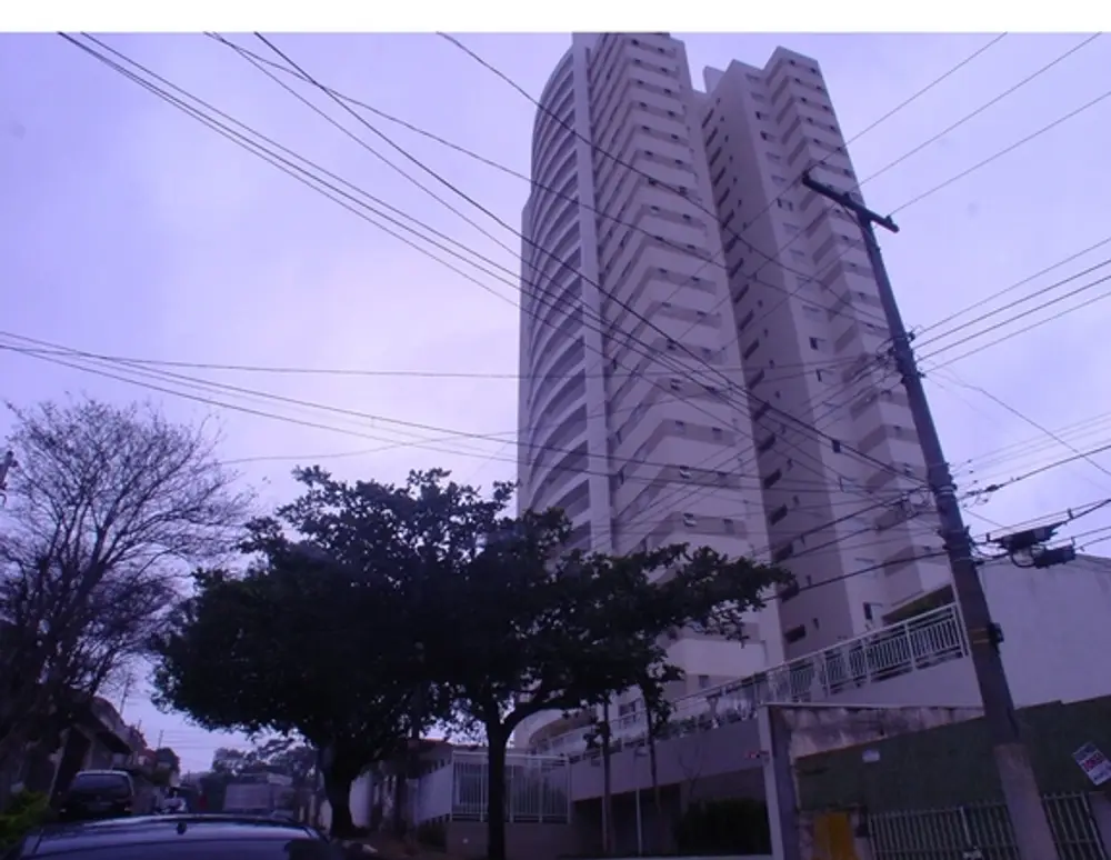 Edificio Palm D'or