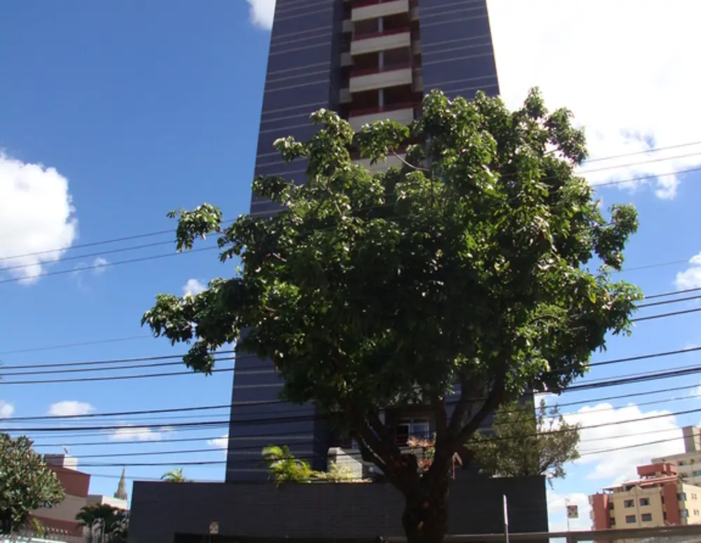 Edificio Felicita Caillaux