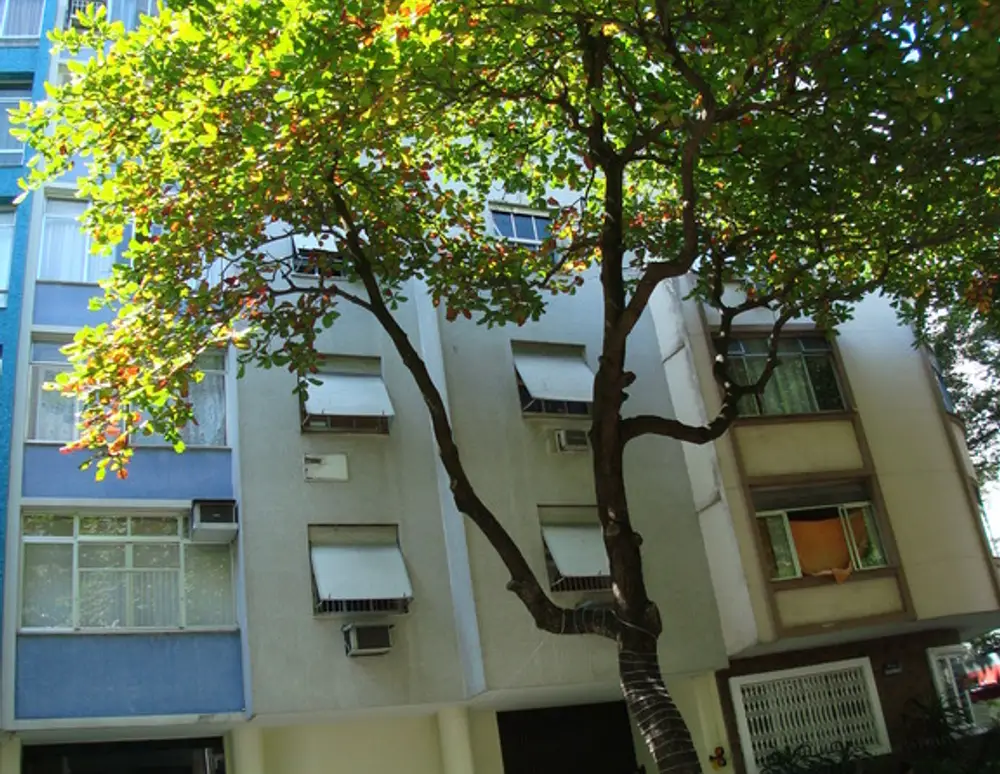 Edificio Canuma