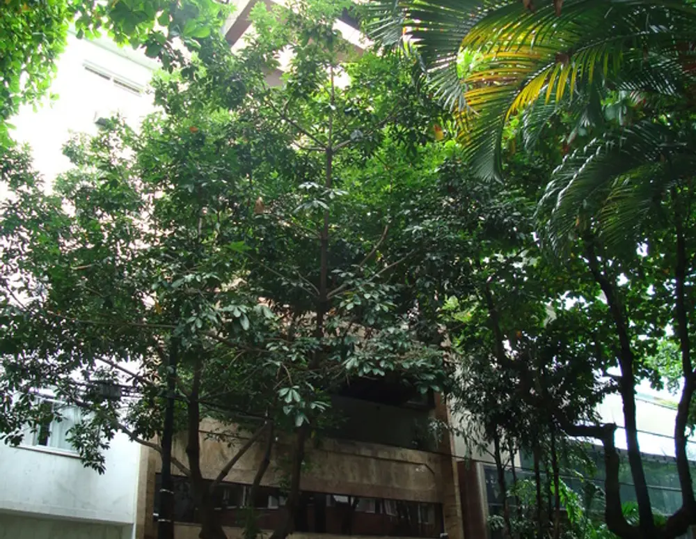 Edifício Azaleia
