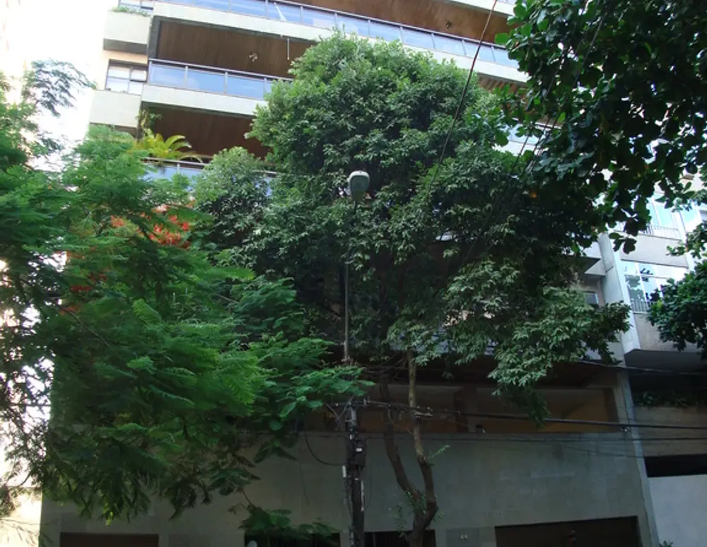 Edificio dos Oitis