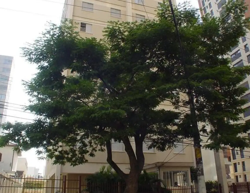Edificio Ellen
