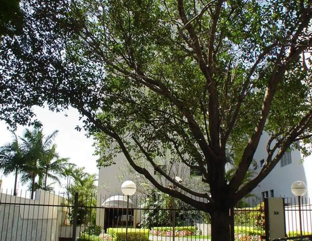 Edificio Samambaia