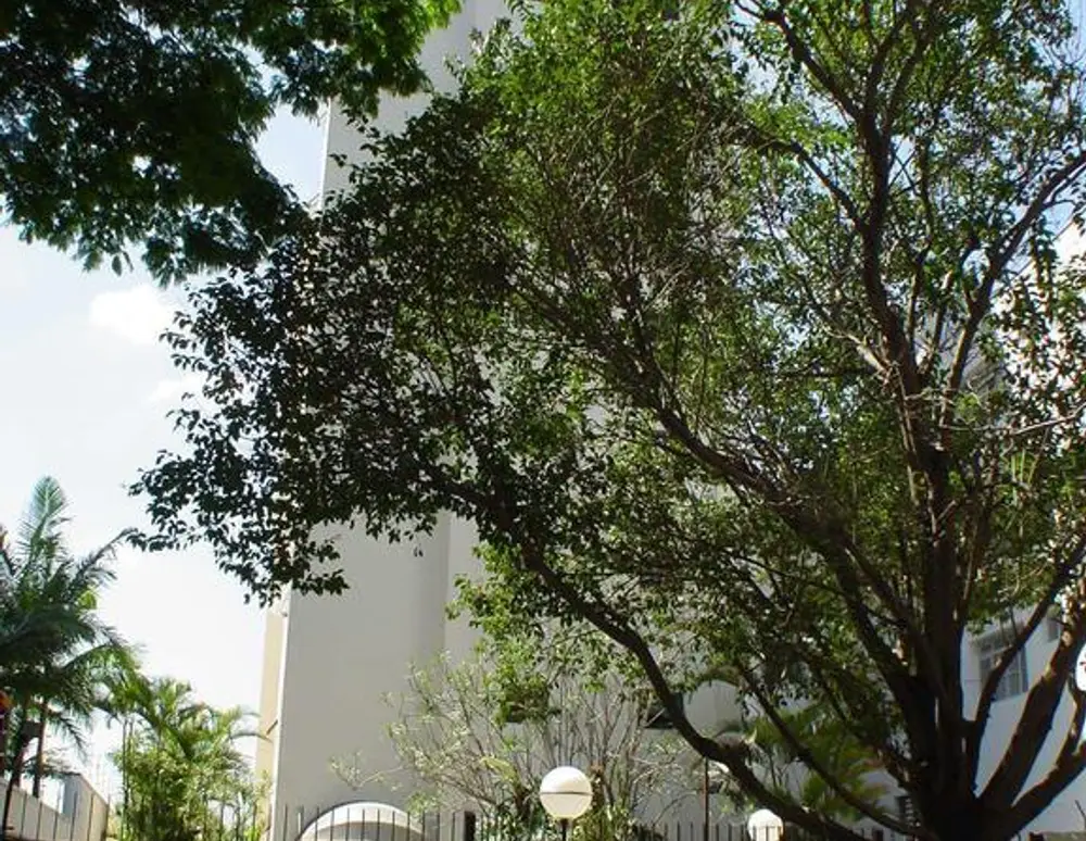 Edificio Samambaia — foto 2