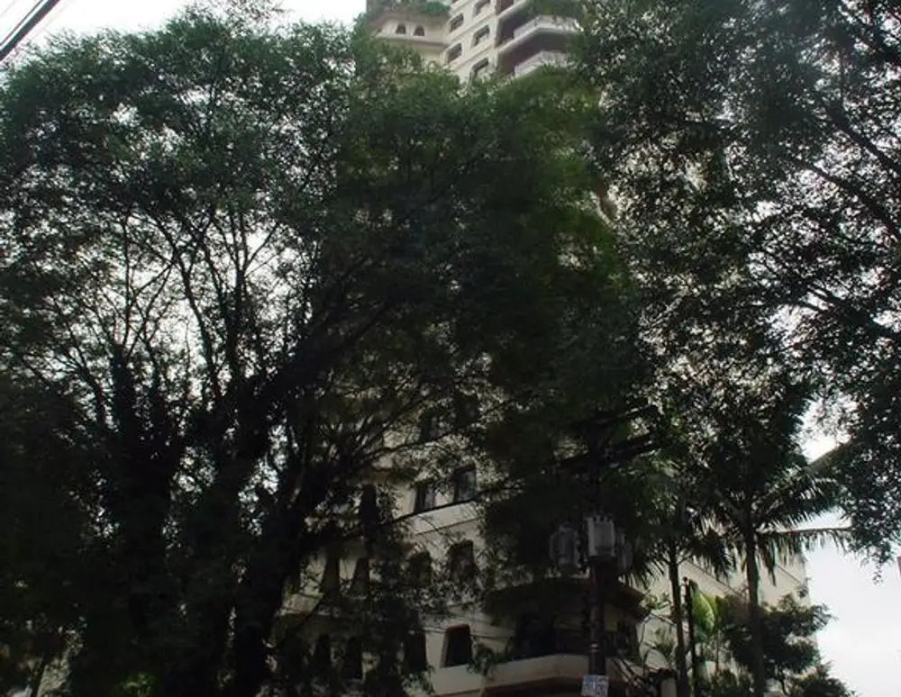 Edificio Meire — foto 2