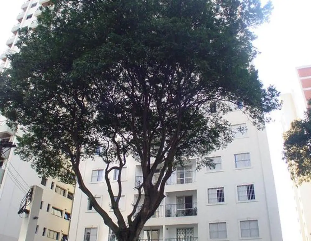 Edificio Maison Tour D'argent — foto 2